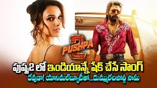 పుష్ప 2 లో యానిమల్ బ్యూటీతో  దేశాన్నేషేక్ చేసే సాంగ్..అరుపులే | Pushpa2 The Rule | Tripthi Dimri |