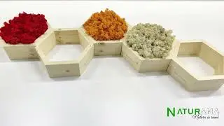 Naturama participa la BIFE-SIM 2022, Romexpo