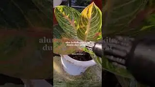 Yang bisa merubah alur kehidupan kita dunia akhirat #youtubefirstshort