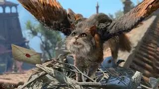 Baldurs Gate 3 Rolling a Nat 1 Against The Flying Cat