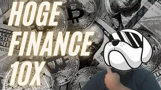 Hoge Finance Update