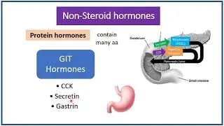 2 Types Of Chemical Messengers And Classification Of Hormones Mti 2021 1