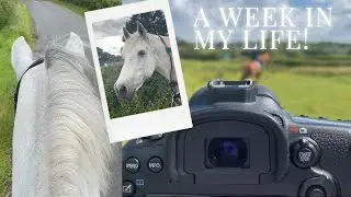 HORSE VIEWINGS, NEW JOBS AND SHOPPING SPREES! / Weekly Vlog