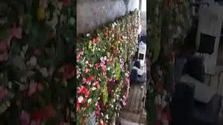 29 мая 2024 г.