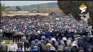 New | 120,000 worshippers performed the second Friday prayer of Ramadan at Al-Aqsa Mosque