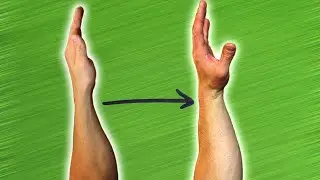 Grow Thicker Wrists - Follow Along Workout