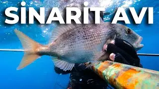 ÖNCE SİNARİT AVLADIK SONRA YEDİK - Zıpkınla Balık Avı Vlog - 30