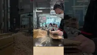 CurvPress Chair, Maker of the Year entry 2024 #woodworking #wood #moty24 #makeroftheyear #woodreview
