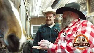 McQuillan Home Services  - Bloopers - Horses