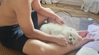 FAZENDO CUZCUZ, MUITA CHUVA VIVENDO NA COREIA 🇰🇷 está ao vivo!