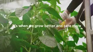 Nature Fresh Farms - Our Brand