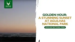 Breathtaking Sunset at Agulhas National Park 🌅