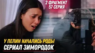 2 ФРАГМЕНТ! Турецкий сериал Зимородок 57 серия русская озвучка