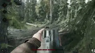 Hunt Showdown 1896 - MotherfuckerYapper