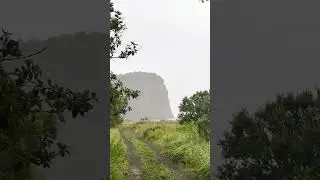 Готовим Кижуча на берегу Тихого океана.
