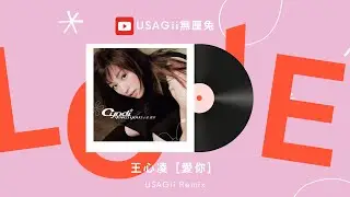 王心凌 Cyndi Wang - 愛你(USAGii無厘兔 remix)