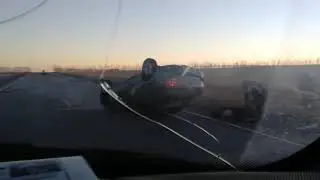 ДТП Сбили Лошадь