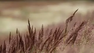 moj video kljucna rec naslov - naziv moje kompanije