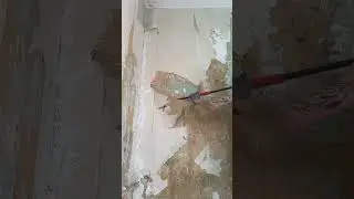 Renovation in a rented apartment. Sunday, April 21