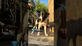 Ракурсы Милки один зачётнее другого 😂 