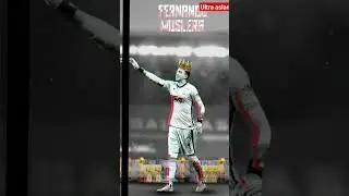 👑💛❤👑