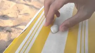 Рак-отшельник прячется в ракушке. Краб быстро бегает с ракушкой.