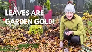 Final Garden Task For 2023 & A Very Delightful Surprise 🍁🍂🍁🍂🍁