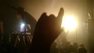 БАУ.Воронеж.Котята (17.11.17)