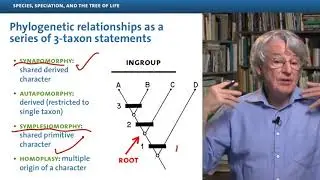 Species, Speciation, and the Tree of Life: Part 2 - Evolution: A Course for Educators