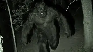 YOU NEED TO SEE THIS ANGRY PREDATOR!! IT HAD 100X'S STRENGTH OF A GORILLA!!