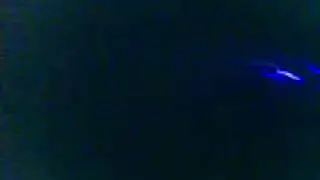 Ранетки в Орехово-Зуеве.