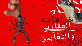 اشياء غير حقيقية عن العقارب🦂 والثعابين 🪱