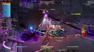 Triple Mini Skip Gryphon Heart Pug | DK Tank | U41