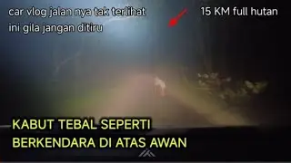 Night Drive in creepy forest, Baturraden Pratin 1