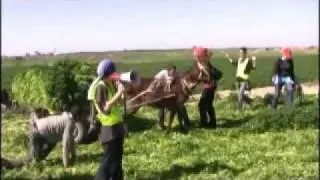 farmers under fire