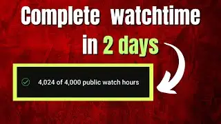 Epic Watch Time Race: 4000 Hours in 48 Hours - Can It Be Done?