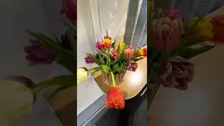Обзор на турпоезд 