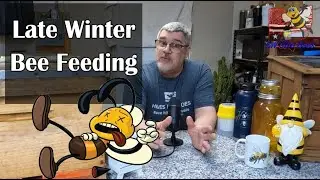 Late Winter - Early Spring Warmth & Feeding of Beehives