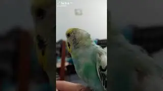 когда балдеешь от собственной милоты!