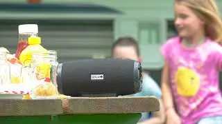 Drive Portable Bluetooth Speaker