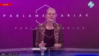 DTV Parlamentarias con Melina Fleiderman - Programa 28/08/2024