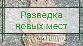 Разведка новых мест/коп с металлоискателем/коп с TX950/поиск монет