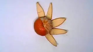 ПРО АПЕЛЬСИН