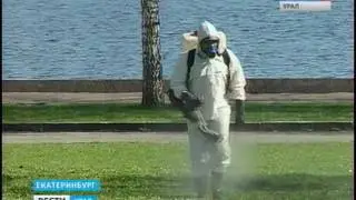 Россия1 Вести Урал 20 05 16 14 30