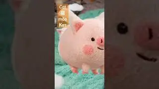 Cat in Chinese is - 猫māo