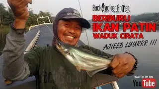 BERBURU IKAN PATIN DI WADUK CIRATA