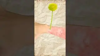 Что делать, если ужалила крапива