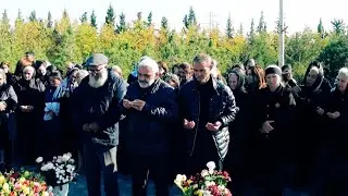YAŞADANLAR YAŞAYACAQ! (ORXAN VƏ VƏ TURAL.08:11:2024...)