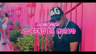 Lobo Red -  Soltero de nuevo (video oficial)