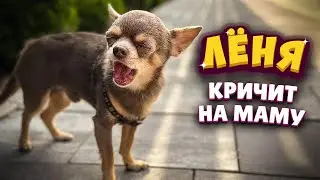 Лёня кричит на маму